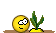 -turnip-