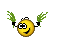 -fly-